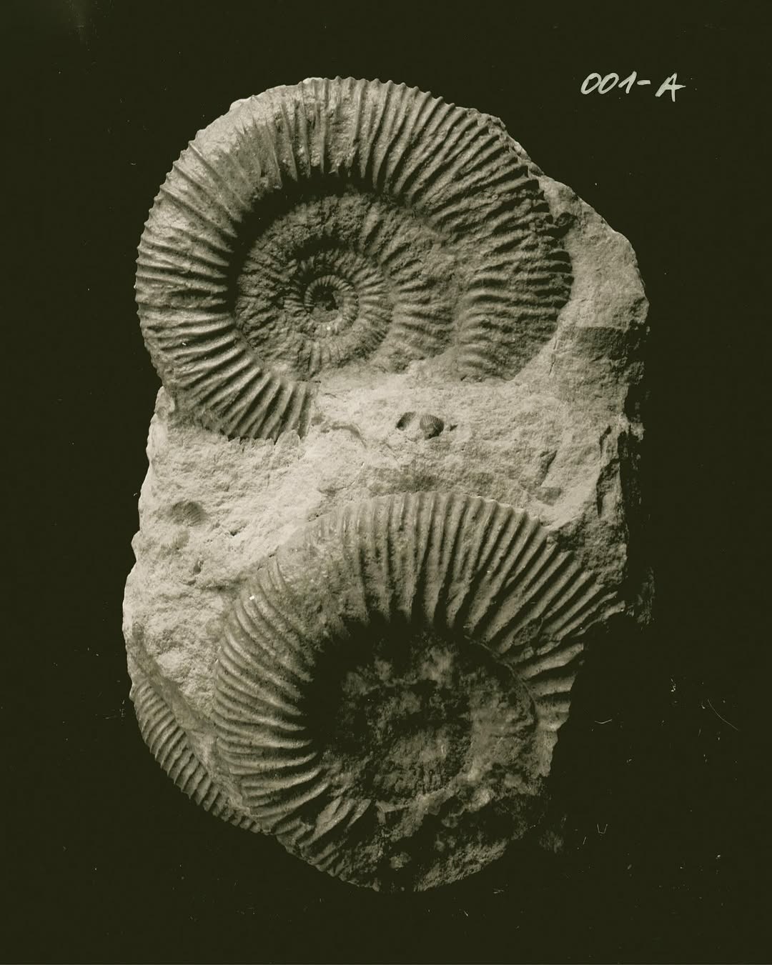 “Fathoming deep time is arguably geology’s sin...