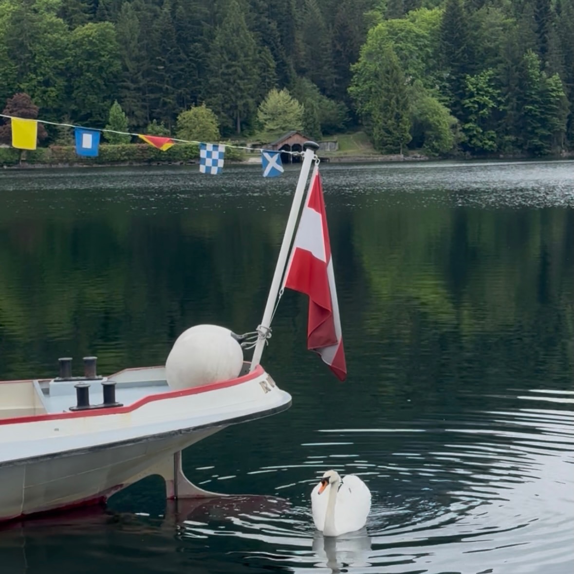 Location scouting in Austria for a photo shoot #au...