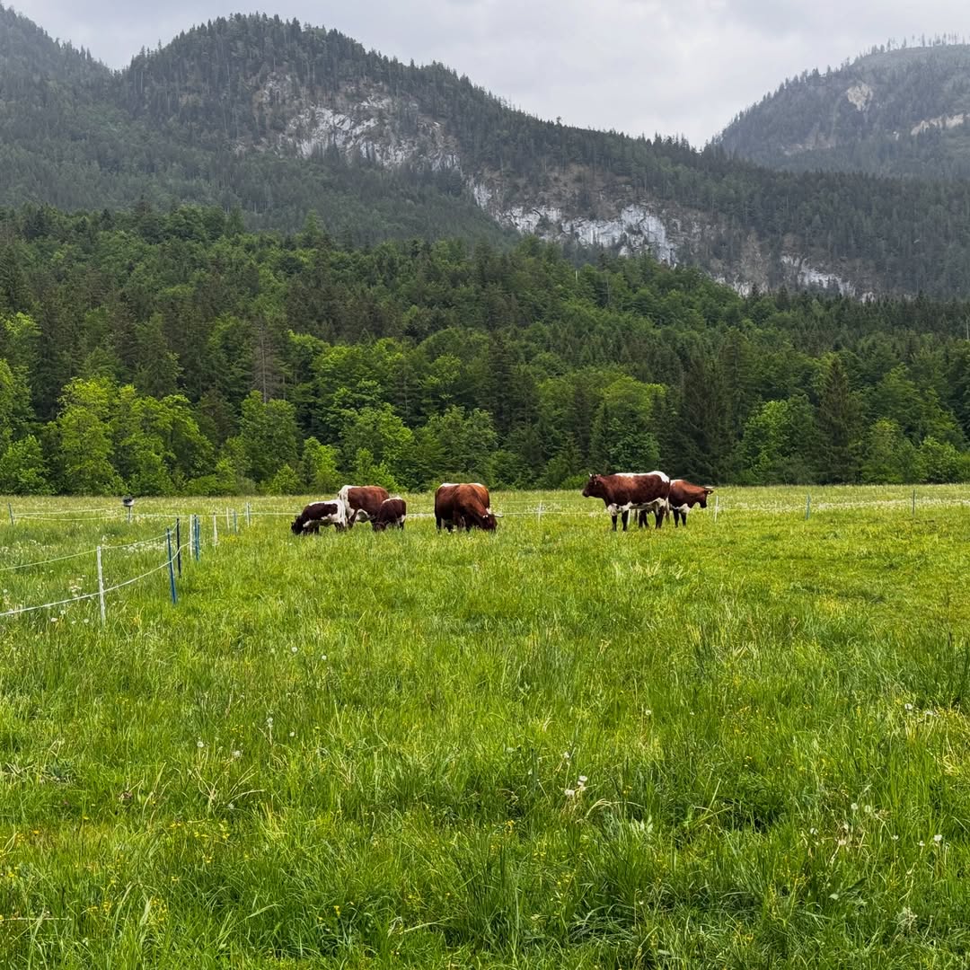 Location scouting in Austria for a photo shoot #au...