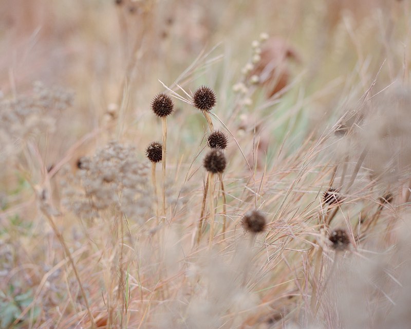 The Guardian |  Jan. 22