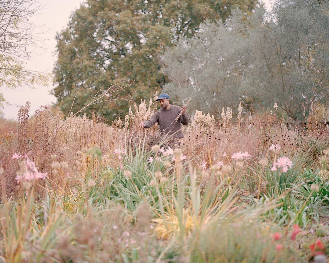 The Guardian |  Jan. 22