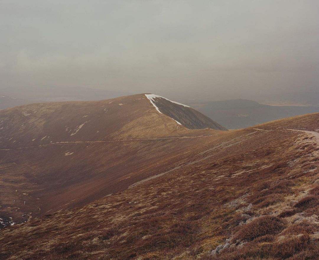 The New York Times |  Jun. 22