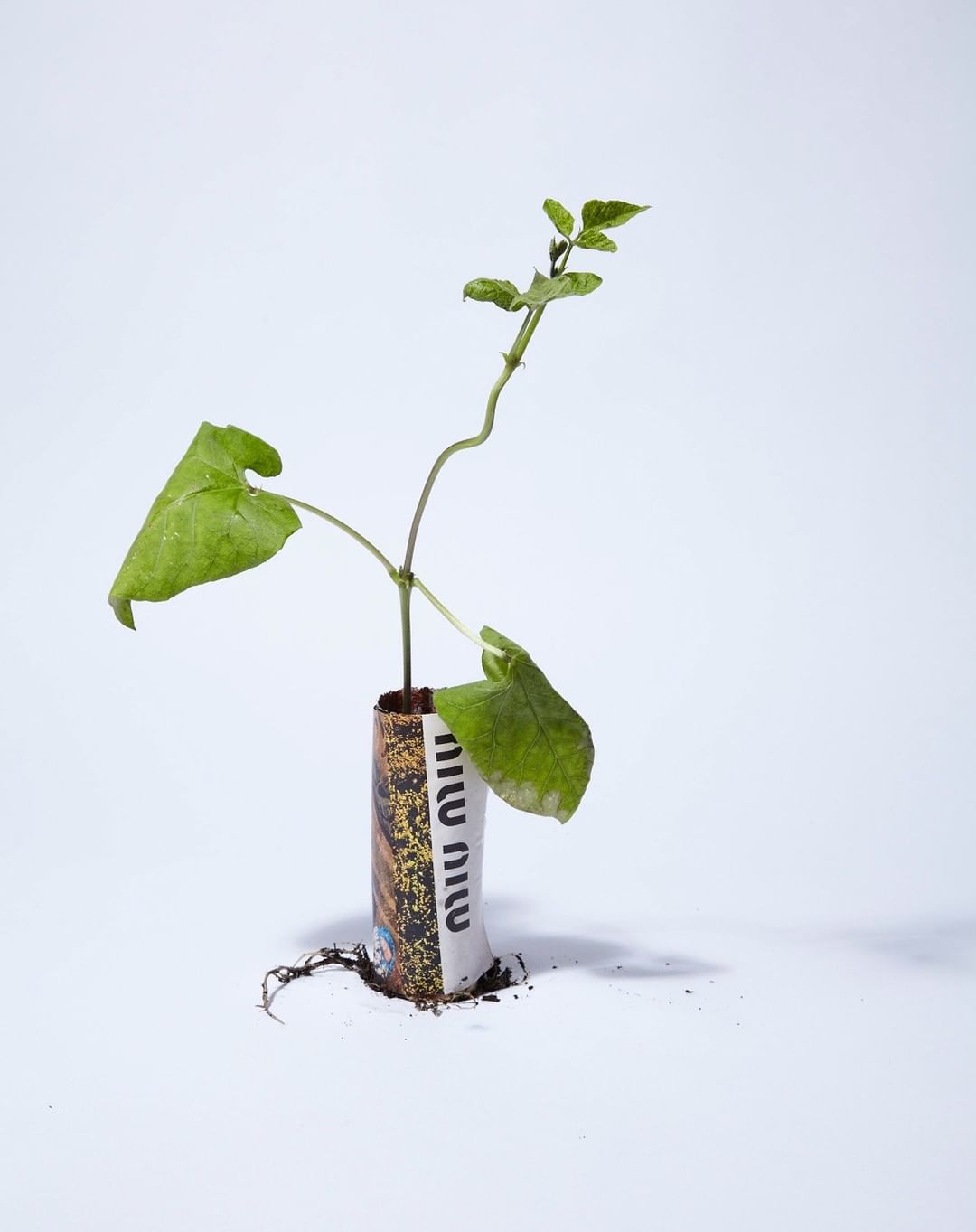 Creative Review |  Dec. 22