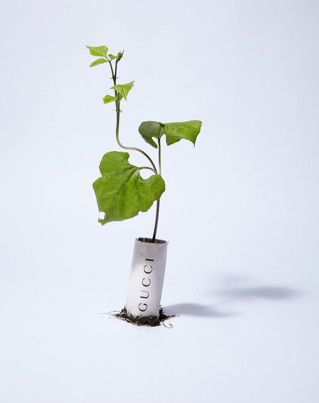 Creative Review |  Dec. 22