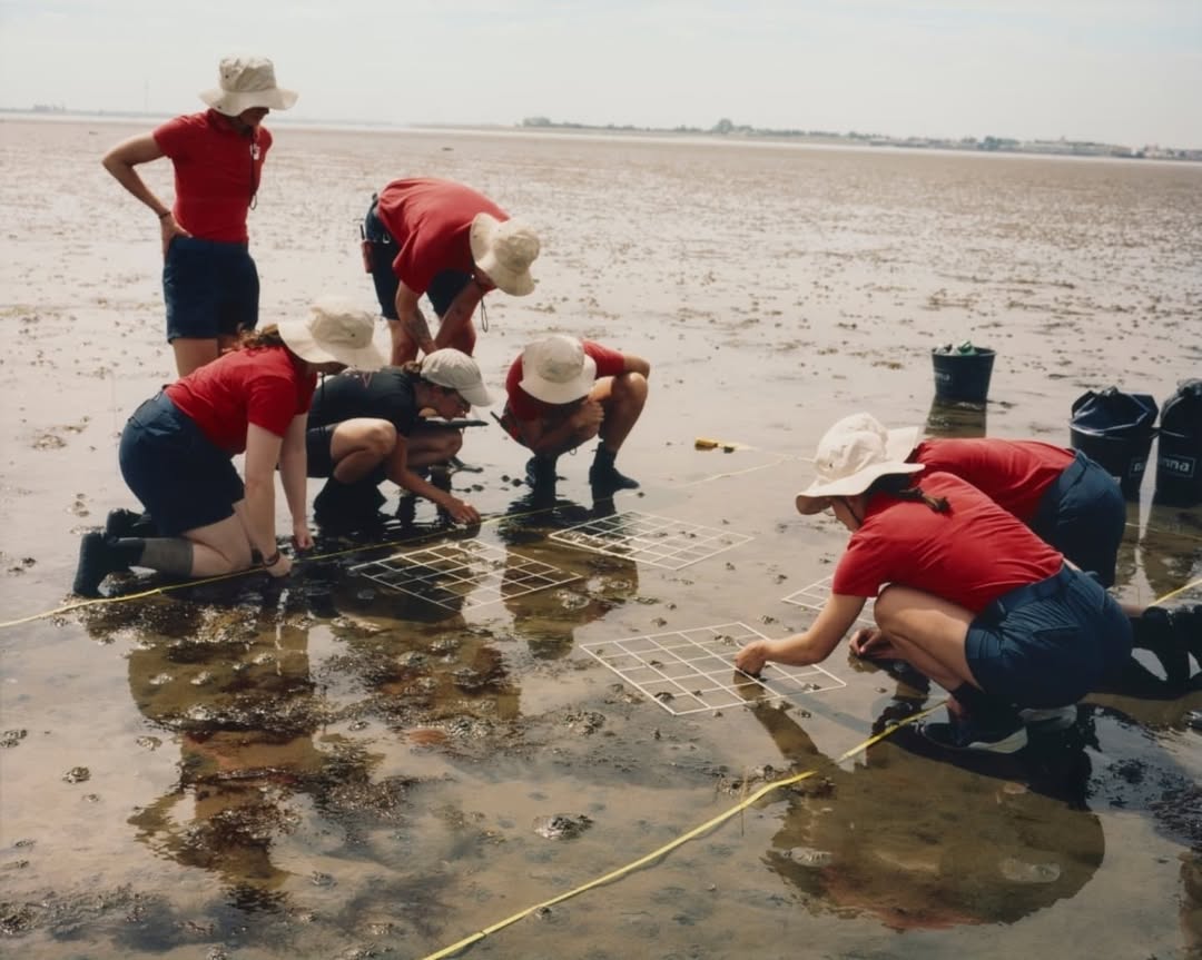 Catherine Hyland X The New York Times Sep. 25