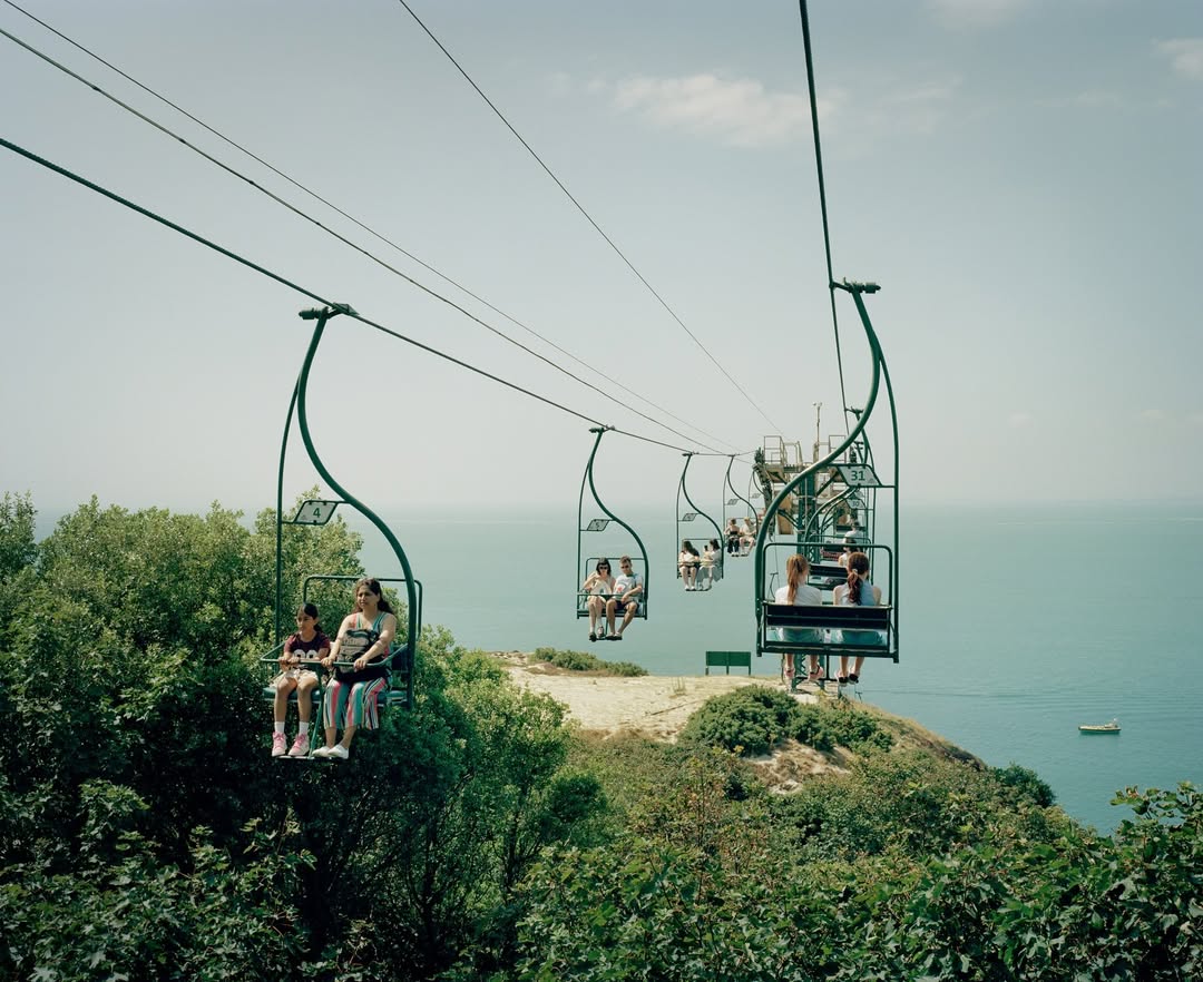 Catherine Hyland X The New York Times Nov. 25