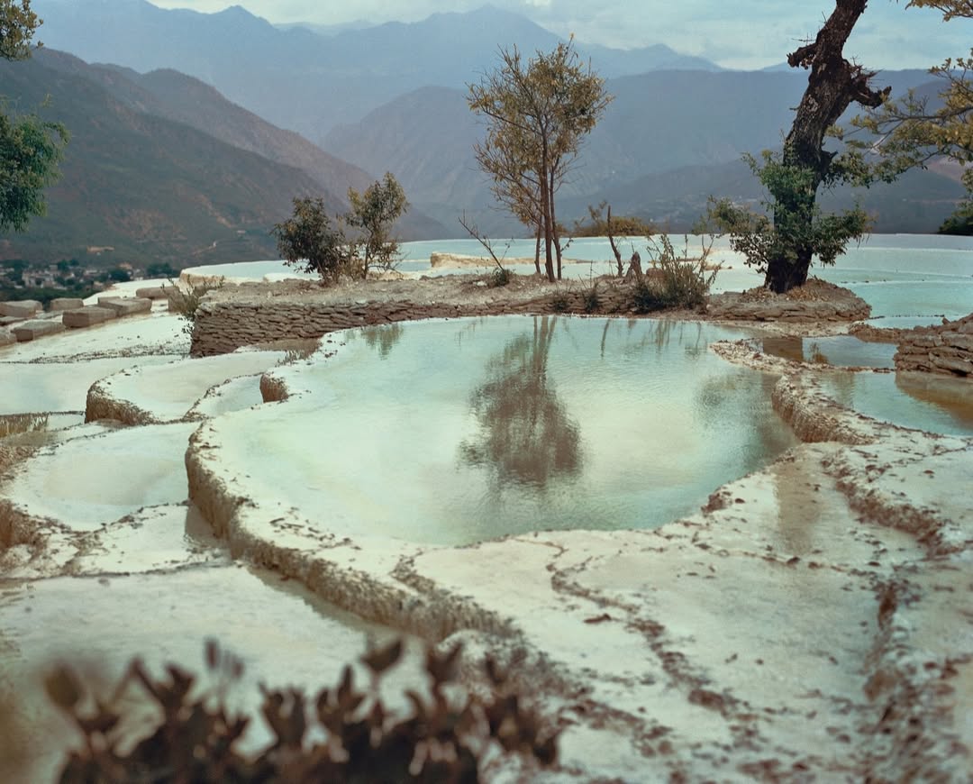 Catherine Hyland X Future for New Yorker Photo Apr. 26