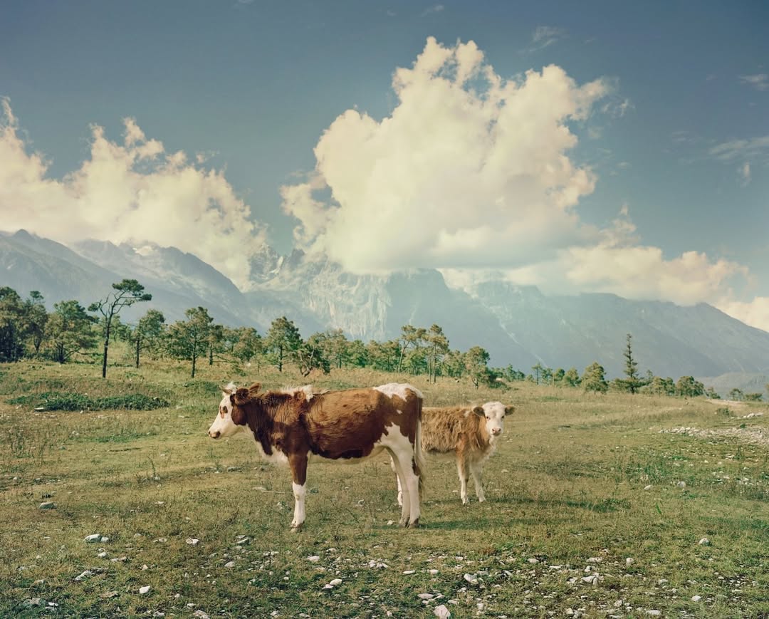 Catherine Hyland X Future for New Yorker Photo Apr. 26