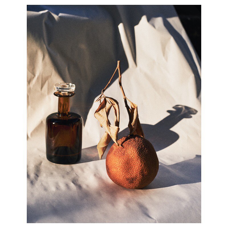 The Plant |  Mar. 21