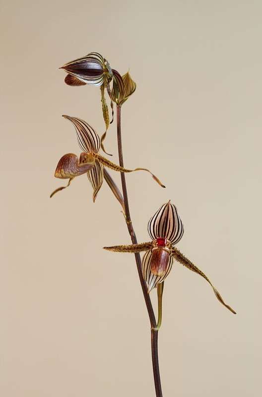 Shahla Karimi |  Sep. 21