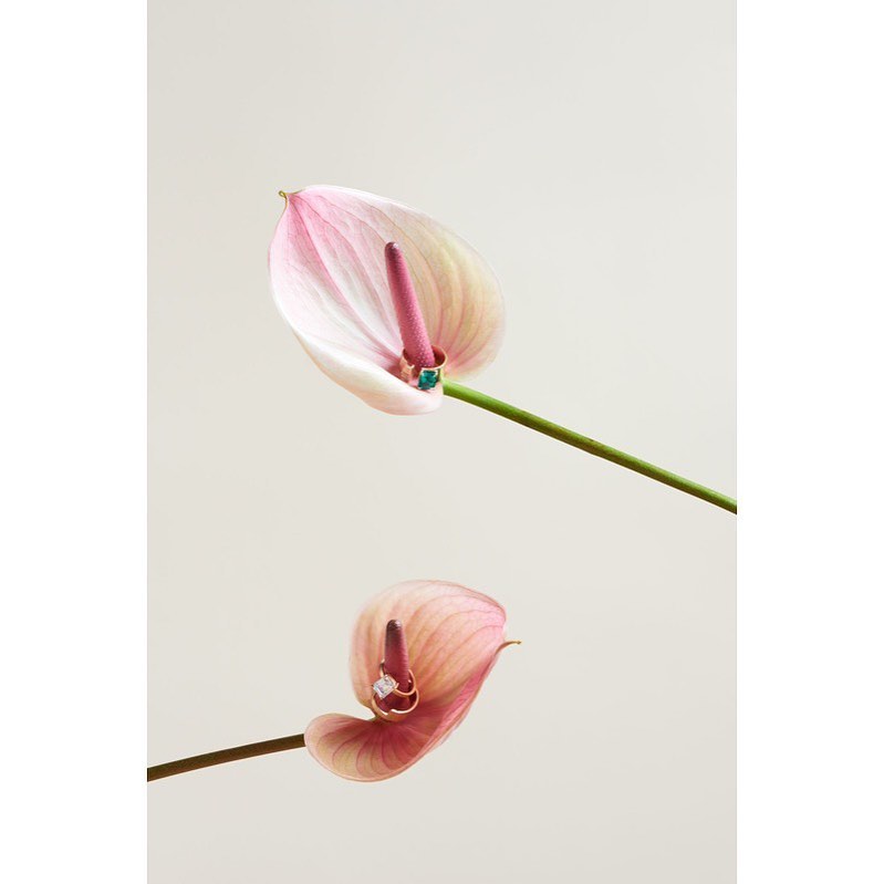 Shahla Karimi |  Sep. 21