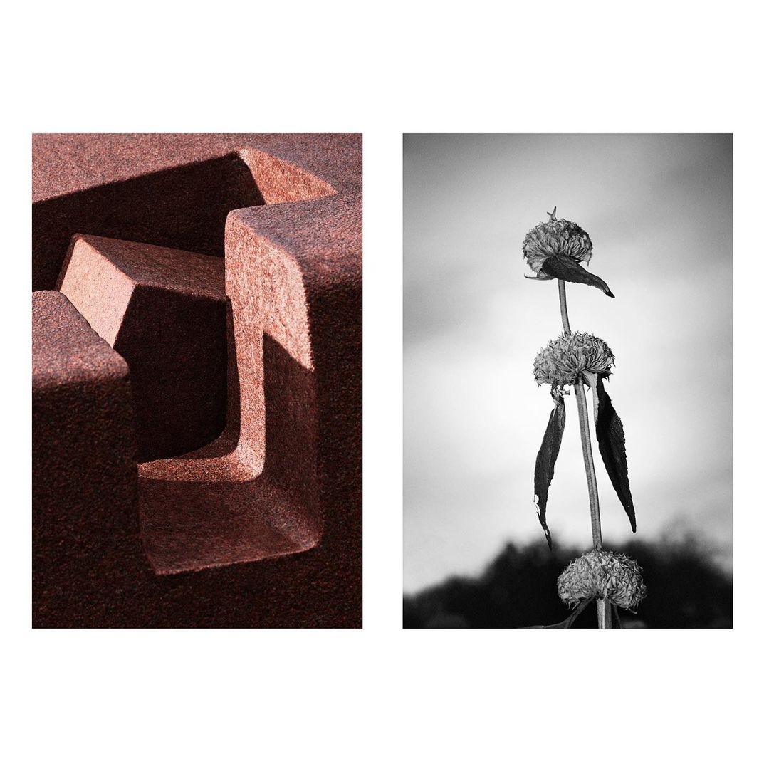 The Plant |  Dec. 21