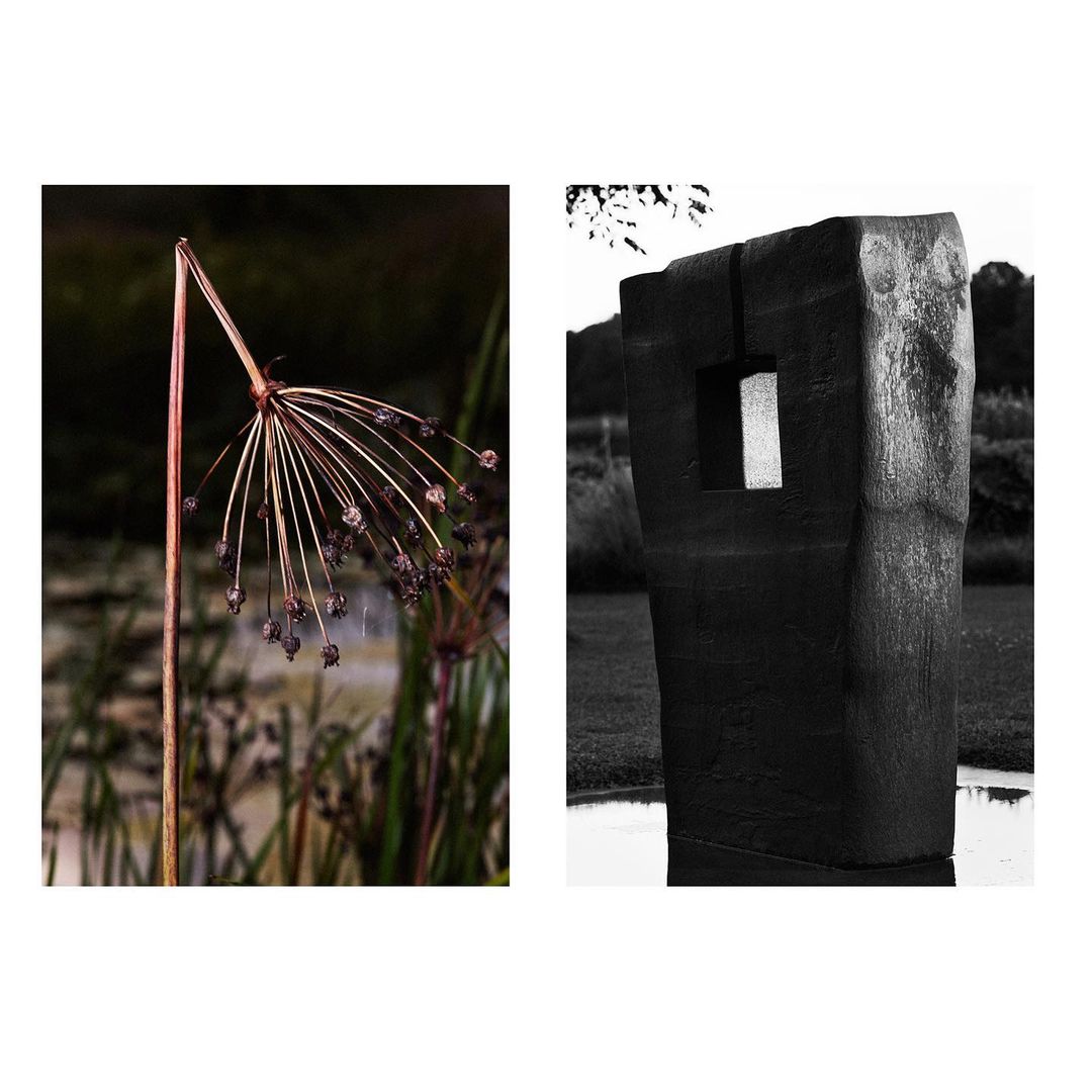 The Plant |  Dec. 21