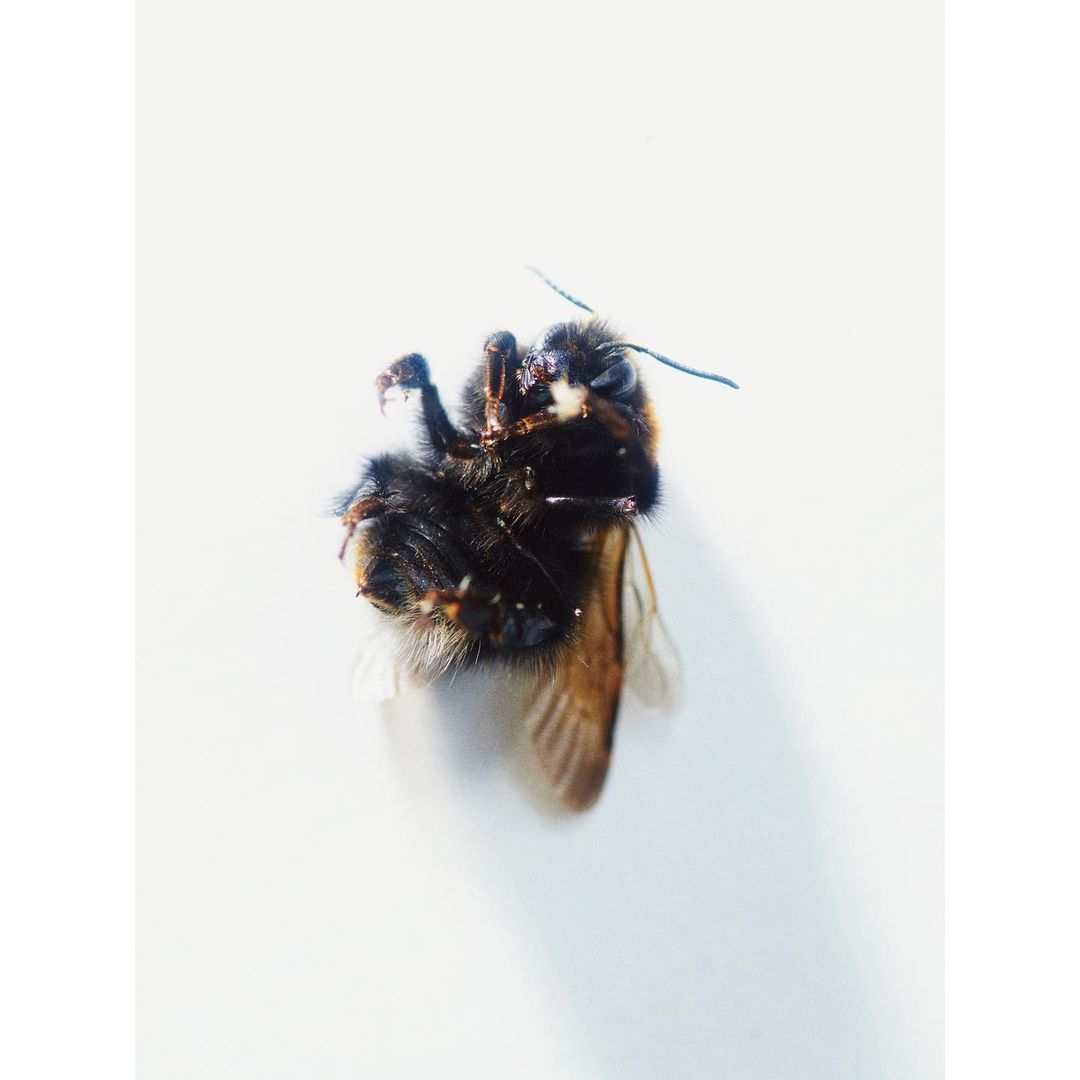 The Plant |  Dec. 22