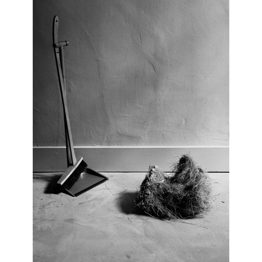 The Plant |  Dec. 22