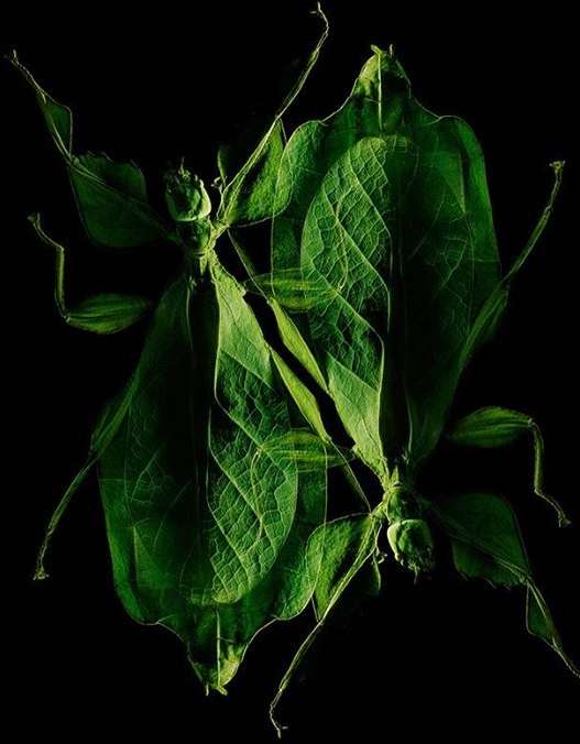 LOVE LETTERS JOURNAL |  Oct. 20