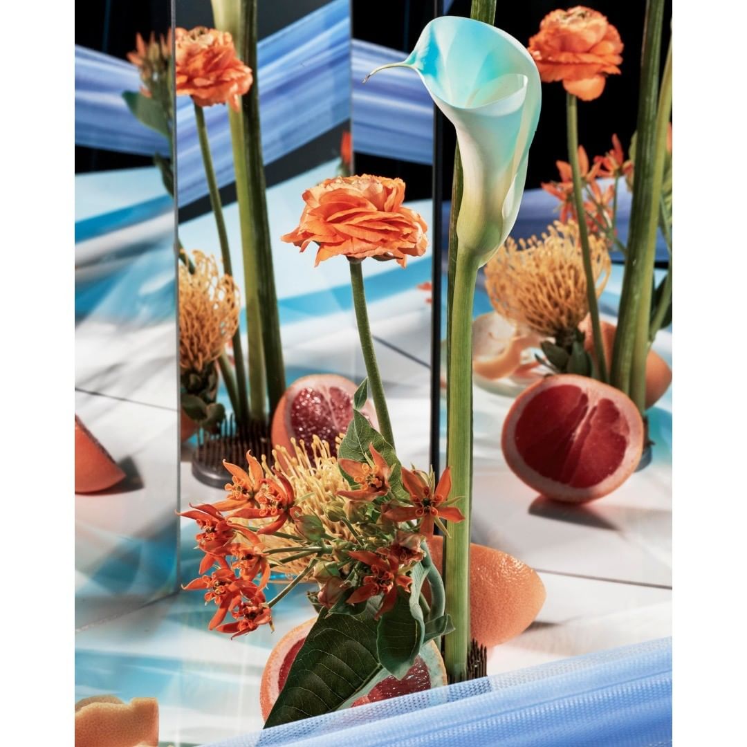 The Green Gallery |  Jan. 22