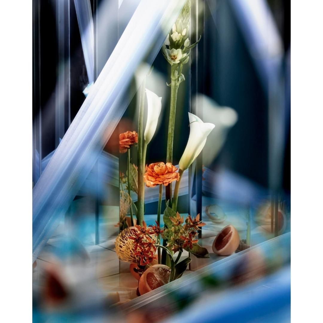 The Green Gallery |  Jan. 22